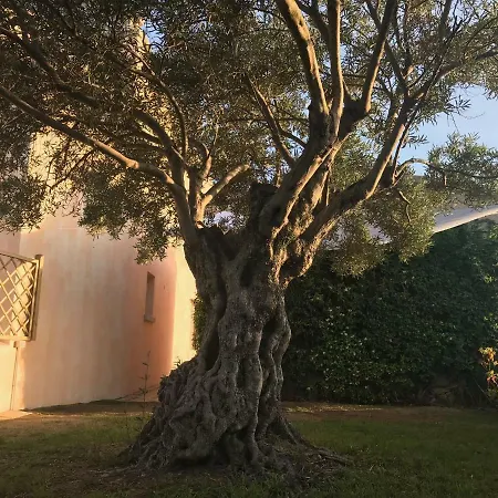 Esmeralda's Guest house 4*